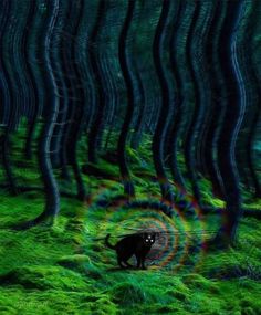 Баннер MoonRocsk