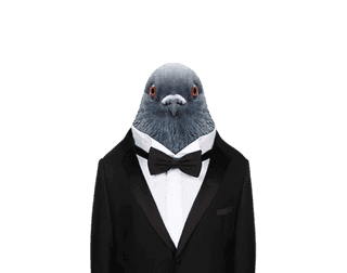 duncan mcloud